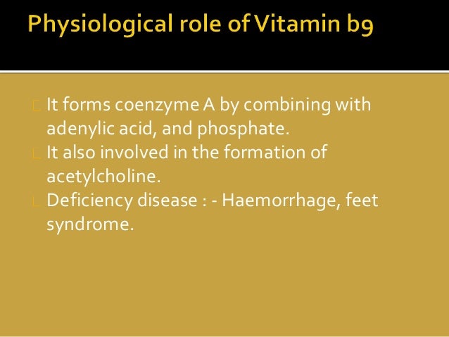 The Nature and Function of the Antineuritic Vitamine